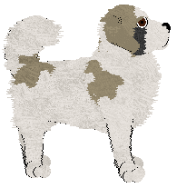 BFK's It'll Be It'll Be — “Pearce”