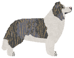 Wulver Herding Dreams — “Mertle”