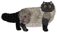 Elegant's Pure In Blood — “Kename”