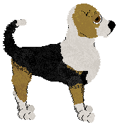 Olfaction Narrow-Eyed Stare — “Mixer”