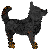 Vanilla's Absolute Mayhem — “Chaos”