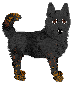 Vanilla's Absolute Mayhem — “Chaos”