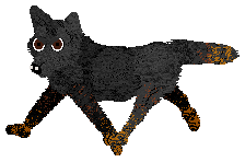 Profile image of Vanilla's Absolute Mayhem