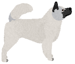 Vanilla's Good Thing I'm Pretty — “Ditz”