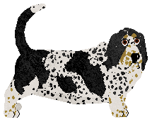 Profile image of TRELE MORELE Szajka Uchatych