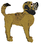 Profile image of Nosewise South of the Border