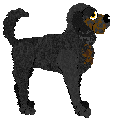 Nosewise Tree Climbing Terror — “Squirrel”