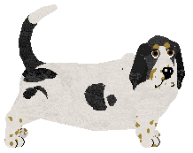 Profile image of ŻWIREK I MUCHOMOREK Szajka Uchatych