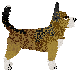 Nosewise Terror of Tiny Town — “Shetland”