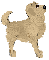 Geriatrix How Do I Do This Again? — “Frank”