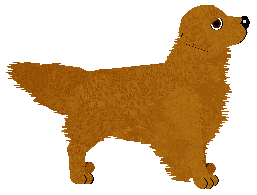 Geriatrix Couldn't Retrieve A Duck — “Bertie”