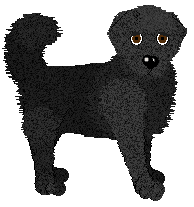 Profile image of Geriatrix Saviour Complex