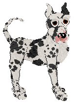 Witz's Apprentice of Horizon — “Fisherkid”