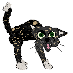 APS I Am Cat @ Mockingbird — “Mercedes”