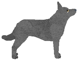 Converse KOPCIUSZEK — “Kopciuszek”