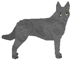 Profile image of Converse KOPCIUSZEK