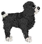 NSP My Miniature @ Mockingbird — “Bantam”