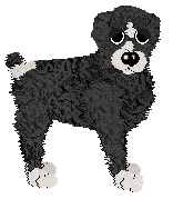 NSP My Miniature @ Mockingbird — “Bantam”