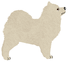 Eli's Walking in the Air — “Tjarvva”