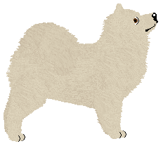 Eli's Walking in the Air — “Tjarvva”