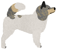 Eli's Now Is the Knowing — “Bai Sema”