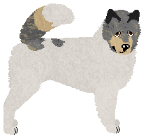 Profile image of Eli's Now Is the Knowing