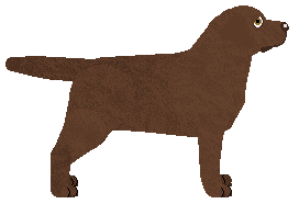 Riflery In The Understory — “Betty”