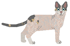 Rumpleteazer Big Donnetta — “Donnetta”