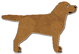 Profile image of Riflery Boreal Forest