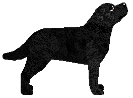 Riflery The Art and Science of Silviculture — “Godfrey”