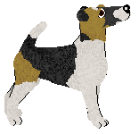 Rosestone's Shock Factor — “Clara”