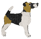 Rosestone's Shock Factor — “Clara”