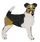 Profile image of Rosestone's Shock Factor