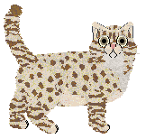 Cafuné Hubble Bubble — “Buba”