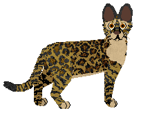 Cafuné Wilma Flintstone — “Wilma”