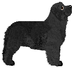 Geriatrix Canadian Bruv — “Prince”