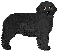 Profile image of Geriatrix Canadian Bruv