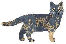 Cafuné Temporary Love — “Misty”