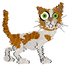 Cafuné A Lone Boy — “Aluś”