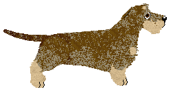 Cansas' Somebody Told Me — “Nessie”