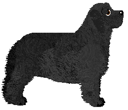 Geriatrix Fishy Business — “Pauper”