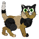 Profile image of Rattlesnake’s Frantic Condition