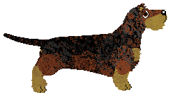 Cansas' Wishing Well — “Todd”