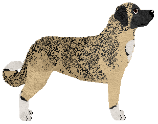 Gladiator Tarhuna — “Ceren”