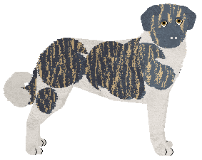 BE IN LOVE WITH YOU at Showtime — “Julie”