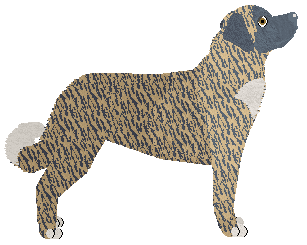 Cansas' Baby Come Home — “Stark”