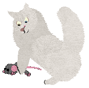 Blizzard KASHMIR — “Alexander”