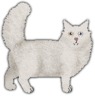 Profile image of Blizzard KASHMIR