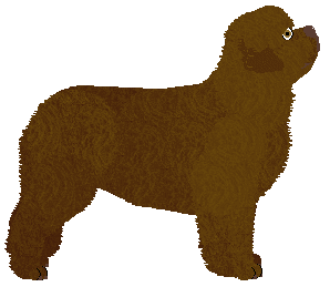 Oakley's Aeroplane Blues — “Ulysses”