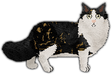 Conformation Champion: Blizzard DAZED AND CONFUSED